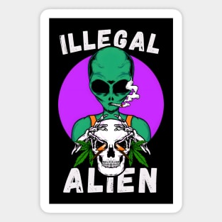 Illegal Alien Magnet